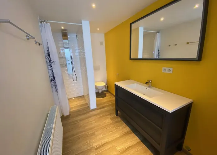 Barkas 23 * ニーウポールト